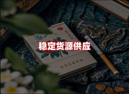 专业团队